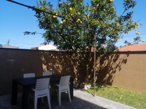 Lemon Tree Apartment